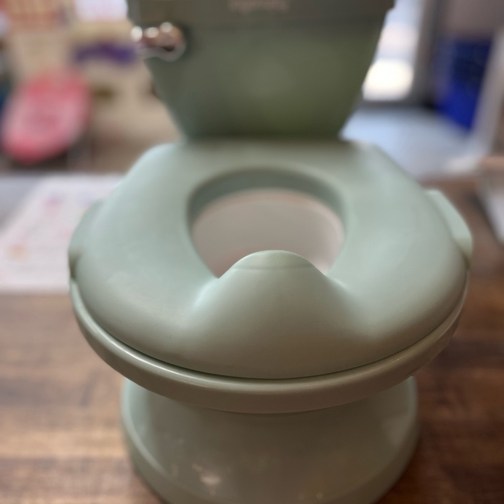 Ingenuity My Size Potty Pro - Green